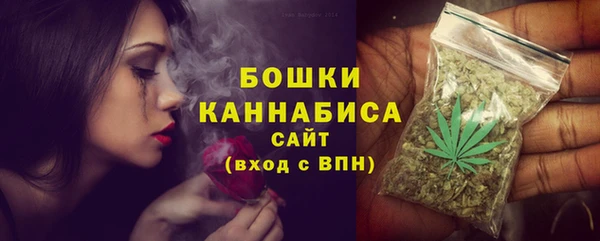 ГАЛЛЮЦИНОГЕННЫЕ ГРИБЫ Щучье