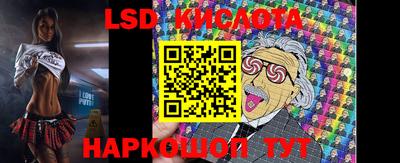 стаф Кингисепп