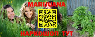 стаф Кингисепп