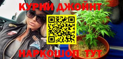 стаф Кингисепп