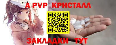 стаф Кингисепп