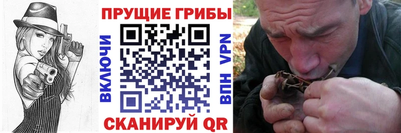 Псилоцибиновые грибы прущие грибы Нижний Тагил
