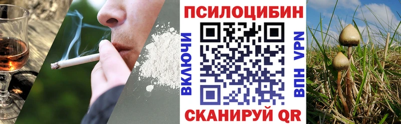 купить  сайты  Нижний Тагил  MEGA маркетплейс  Галлюциногенные грибы Cubensis 