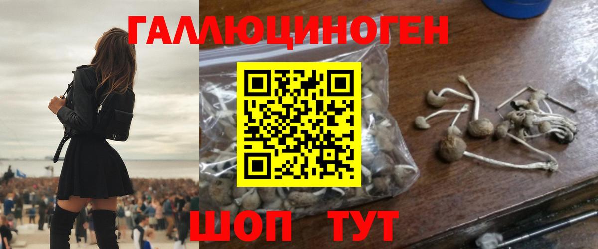купить  цена  Псилоцибиновые грибы мицелий  Нижний Тагил  Вход с VPN  Псилоцибиновые грибы ЛСД 